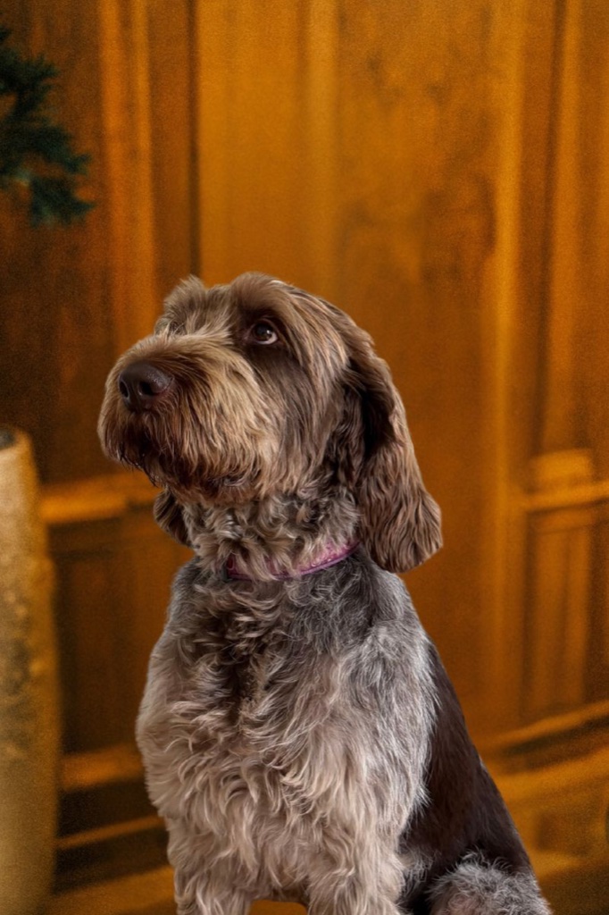 Lola – Chief Happiness Officer, Ehrenreich AG